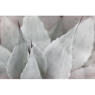 Dream Desert VI BWC by Sue Schlabach - Wrapped Canvas Print