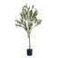 Arbre d'olive artificiel-114197429