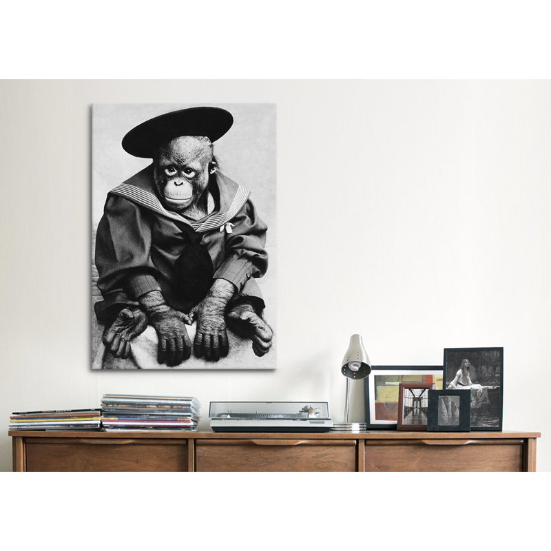 «Monkey in Graduation Outquip», reproduction de photo sur toile, H 60 po x l 40po x P 1,5 po, Toile tendue, Pas de tapis