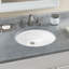 Rendezvous® Vitreous China Oval Undermount Bathroom Sink with Overflow-1711021