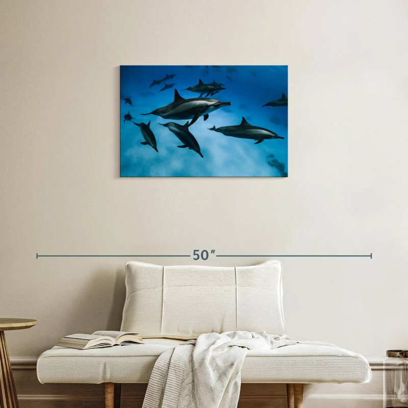 Crowle Striped Dolphins, 20" H x 30" W