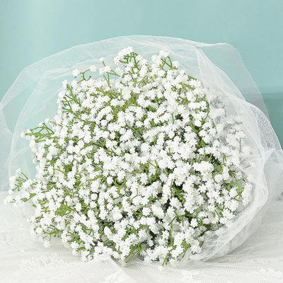 Baby's Breath Arrangement