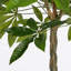 Faux Plant in Plastic Pot-331258187