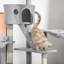 Marcelo 660.4cm H Cat Tree-94560502