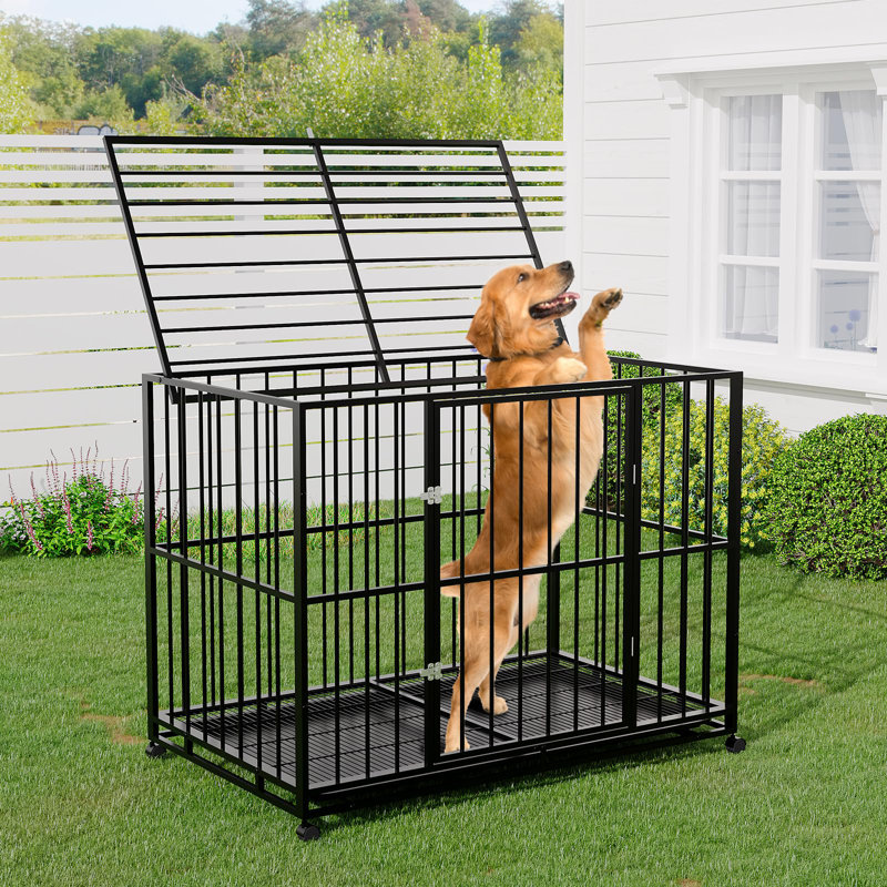 heavy duty dog crate, 34.9" H x 48" W x 29.5" D