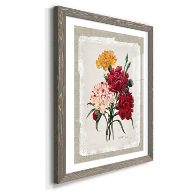 Botanical Bouquet Carnations - Reproduction d'art sur papier encadrée