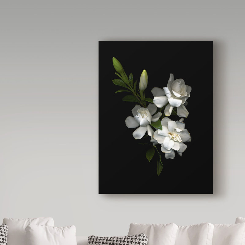 «Gardenia» par Dosta, impression sur toile tendue, H 32 po x l 24 po x P 2 po