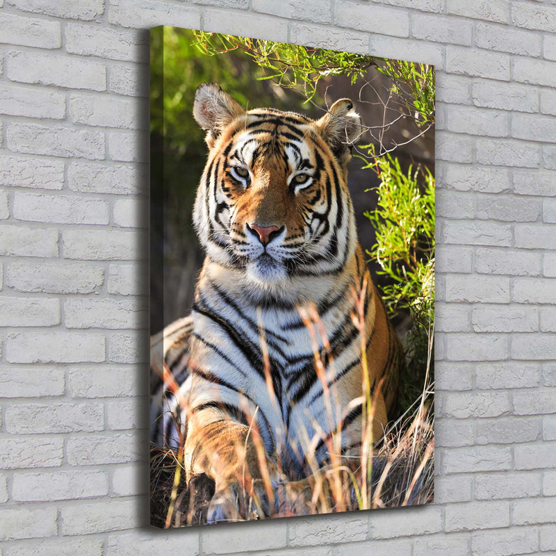 Tiger - Wrapped Canvas Print