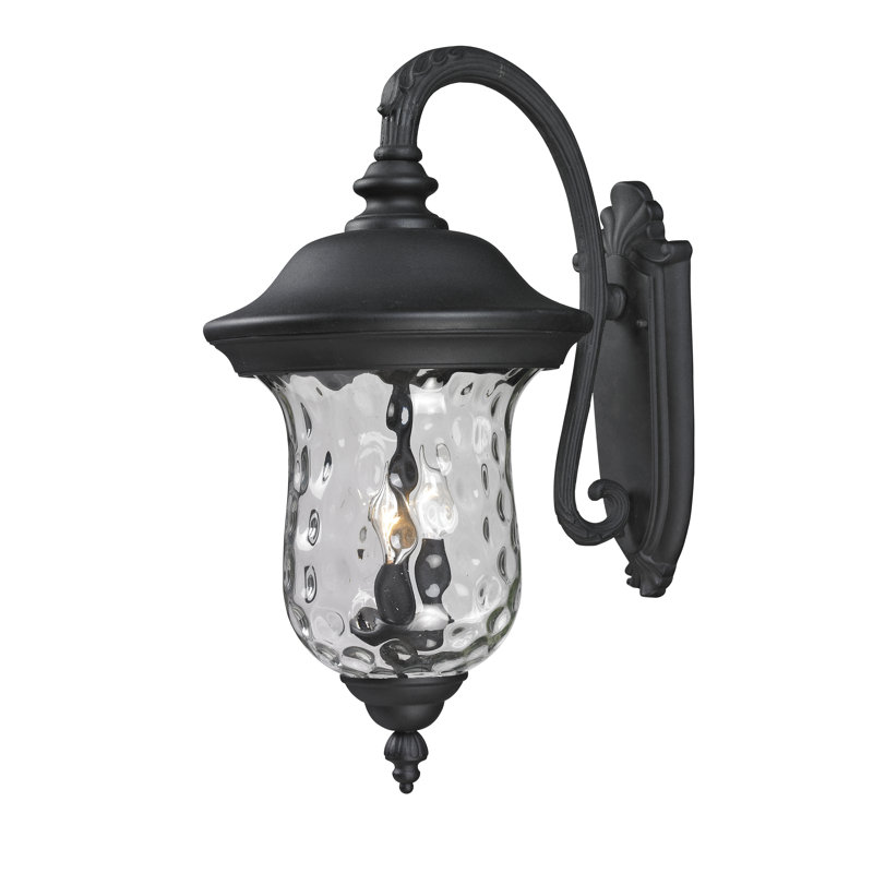 Antkeo Glass Wall Light, 24.25" H x 12.38" W, Black