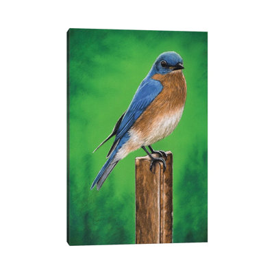 " Eastern Bluebird " by Mikhail Vedernikov