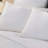 Delray 100% Cotton Fabric