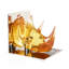 Acrylic Rhino Bookend Set
