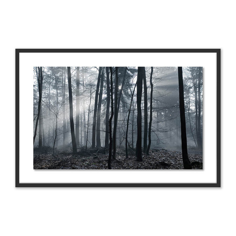 Eerie Trees I Print by Jakob Wagner, Black, 27" H x 40" W x 2.5" D