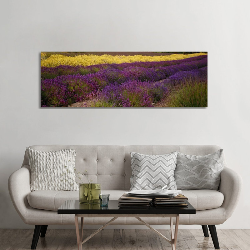 Lavender and Yellow Flower Fields, Sequim, Washington, USA 1 Piece Wrapped Canvas Panoramic Wall Art