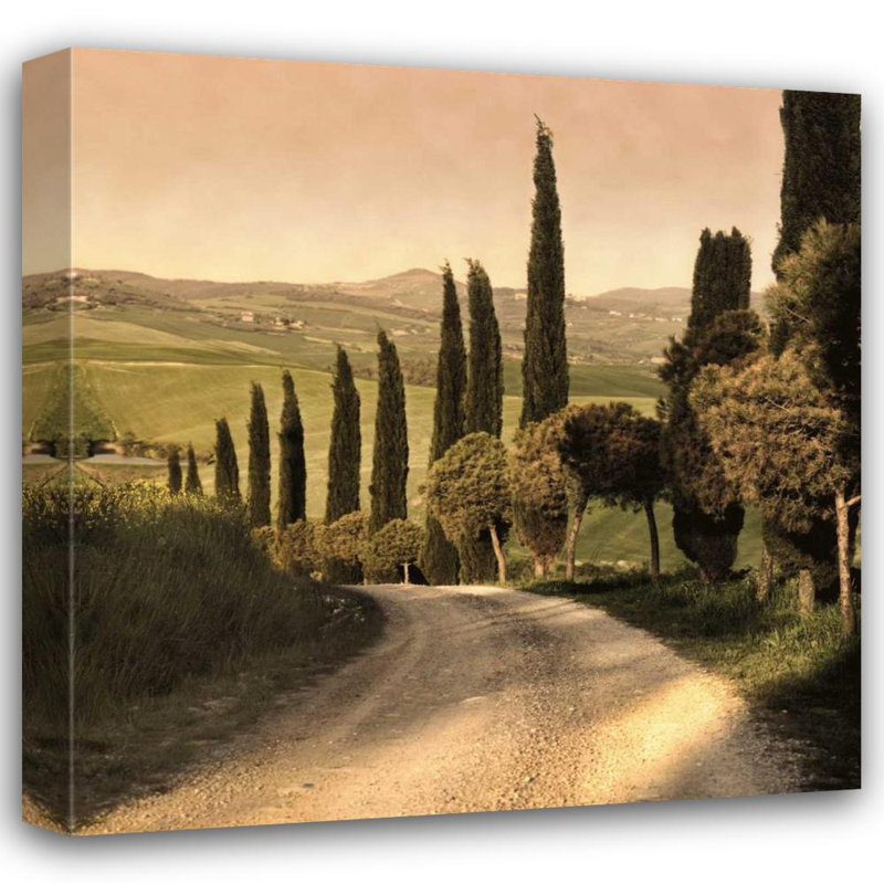 Art sur toile tendue avec la galerie Lark Manor Carmel, Elizabeth: Country Lane Tuscany C534D, H 36 po x l 36 po