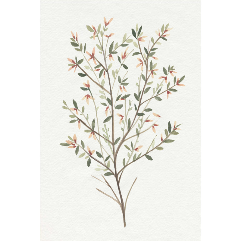 Single Sprig III by Annie Warren - Painting Print, Black Floater Framed, 122cm H x 81cm W