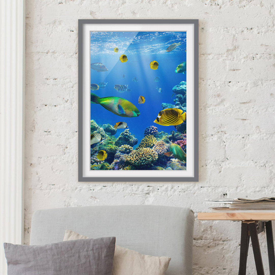 Gerahmtes Poster Underwater Lights