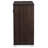Martenous Accent Cabinet