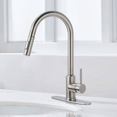 Sunny Yard Pull Down Kitchen Faucet