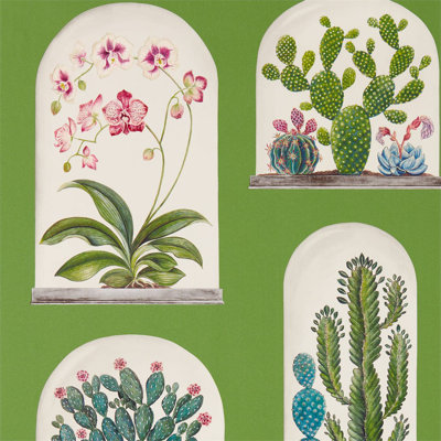 Terrariums Wallpaper