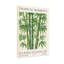 Plantes et fleurs, motif de feuilles vertes de bambou tropical-2115993852-2115993794-2115993793