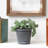 Bowlin Pot Planter