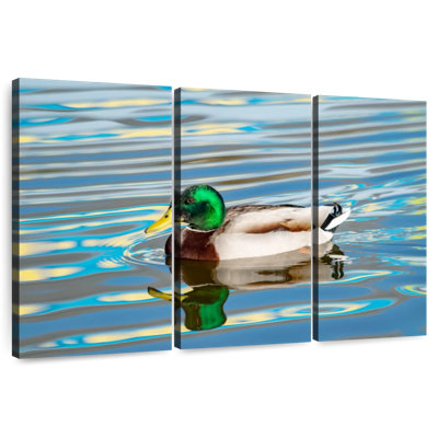 Duck Swimming On Lake