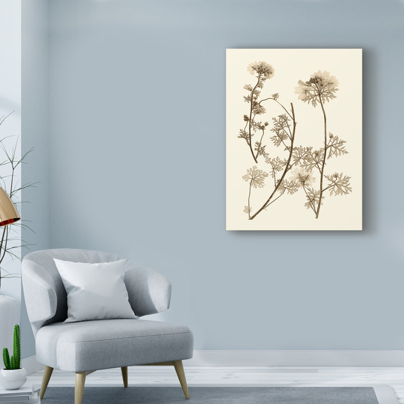 «Sepia Nature Study IV» par Vision Studio, impression sur toile, H 19 po x l 14 po x P 2 po