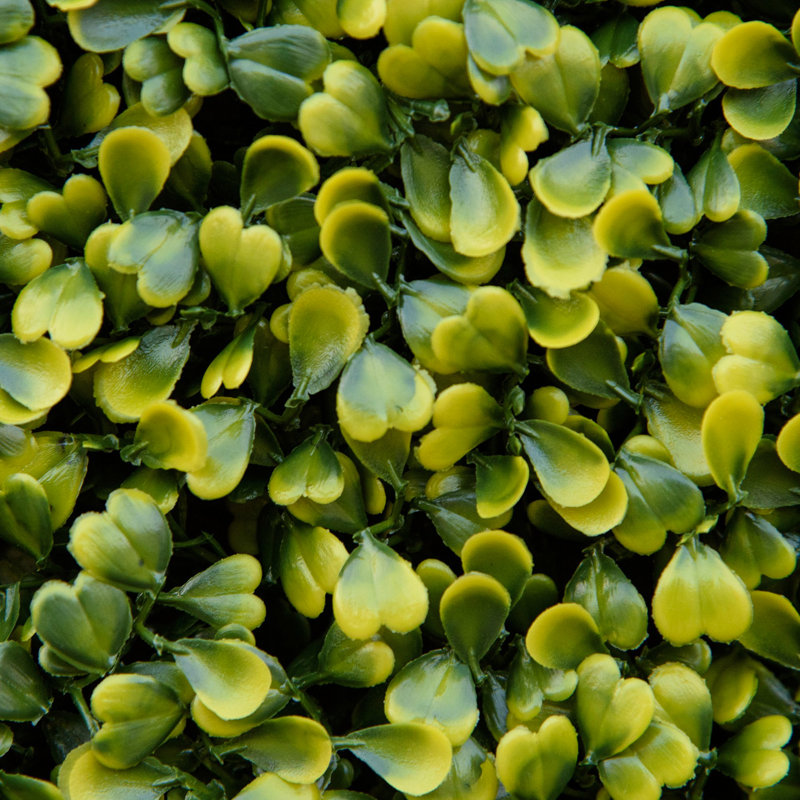 50cm Faux Evergreen Hedge