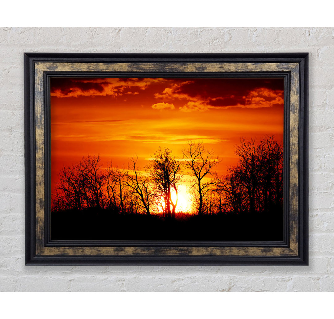 Orange Sunset Treeline - Einzelner Bilderrahmen Kunstdrucke