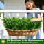 20 paquets de plantes artificielles vertes pour l'extérieur Printemps Été Décoration Résistant aux UV Faux blé Herbe Arbustes Eucalyptus Faux plantes en plastique Jardin Porche Décoration de boîte de fenêtre