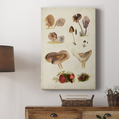 Mushroom Species III - galerie sur mesure