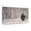 Bison in Winter Forest, reproduction sur toile-1550844250