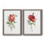Pivoine écarlate - ensemble de 2 reproductions d'art-1707268028-1707268024-1707267970