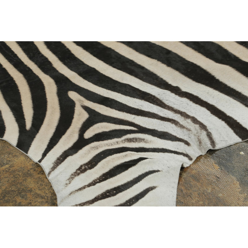 Modern Area Rug
