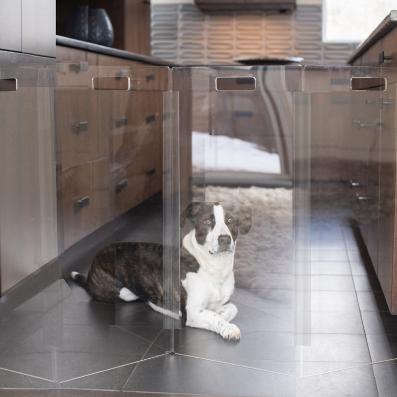Hiddin Clear Freestanding Tall Zig Zag Pet Gate, 4-Panel