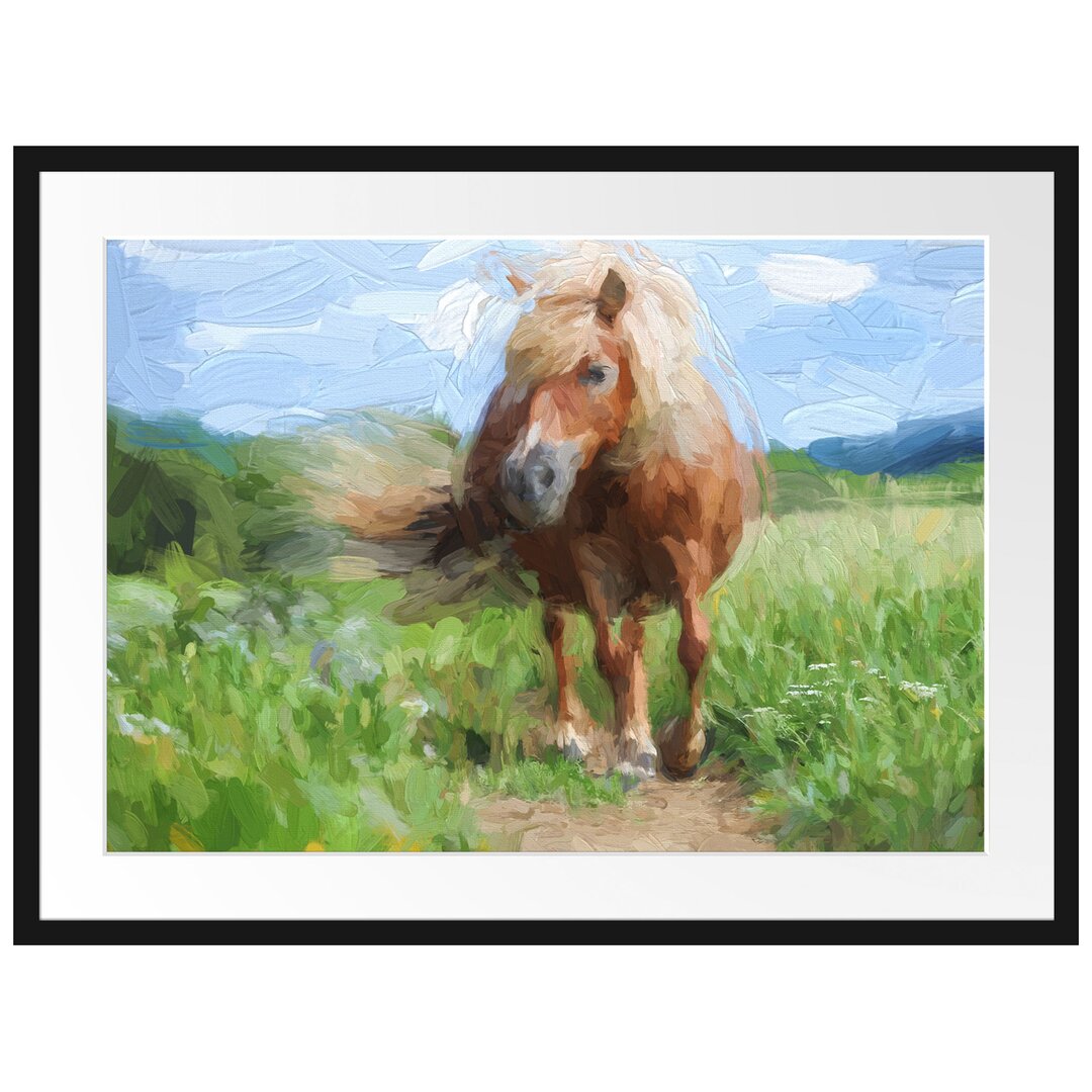 Gerahmtes Papierbild Shetlandpony auf der Wiese