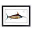 Swordfish - Picture Frame Art Prints-55616843-55616842