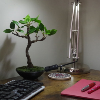 63.5cm Faux Bonsai Plant in Pot Liner