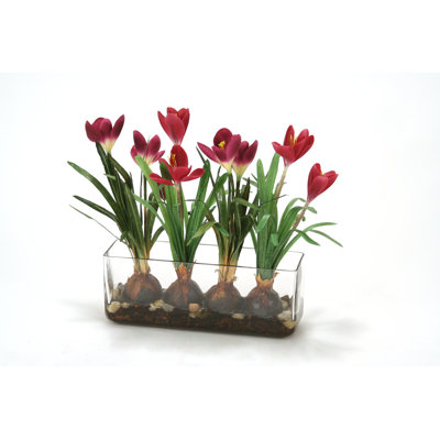 Glass Arrangement in Vase