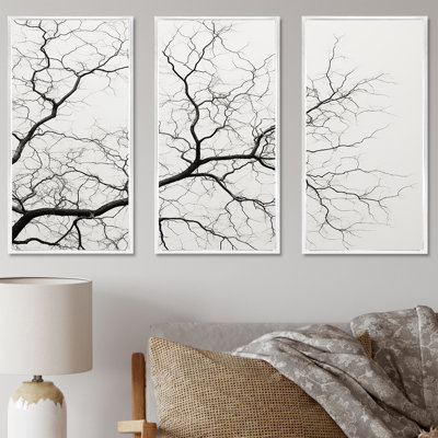 «Monocrhome Sycamore Tree Solitude», ensemble d'art mural sur toile Sycamore