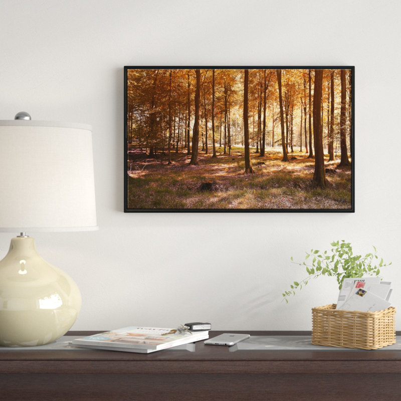 Paysage «Thick Fall Forest with Orange Leaves», reproduction de photo sur toile tendue encadrée, H 30 po x l 40 po x P 1,5 po