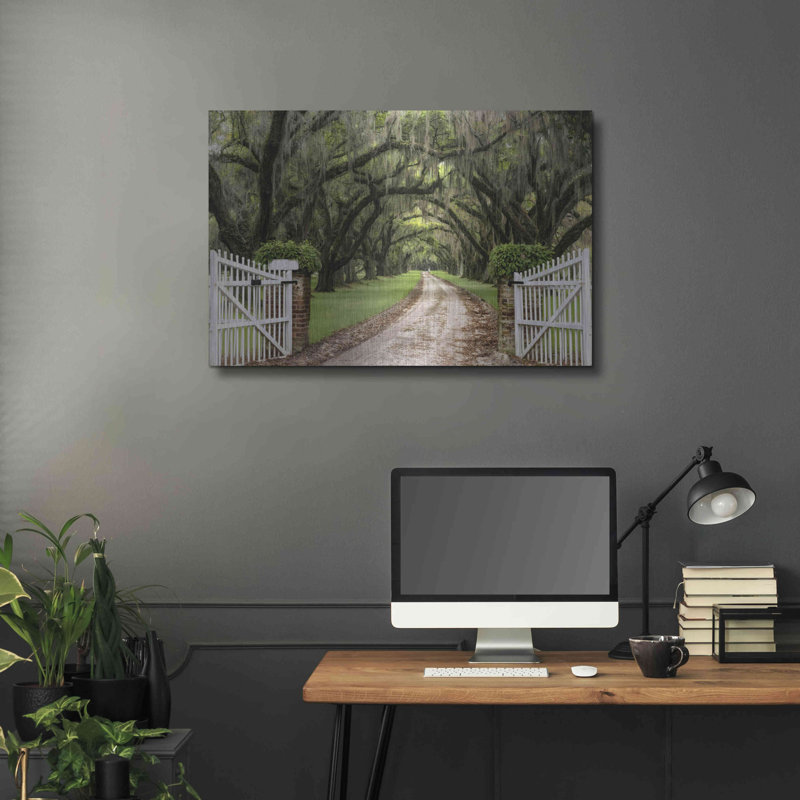 Plantation Road par Daniel Burt - Photographie sans cadre sur métal, H 24 po x l 36 po x P 0,13 po