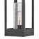 Marla Dusk to Dawn Iron Wall Light with Seed Glass Shade