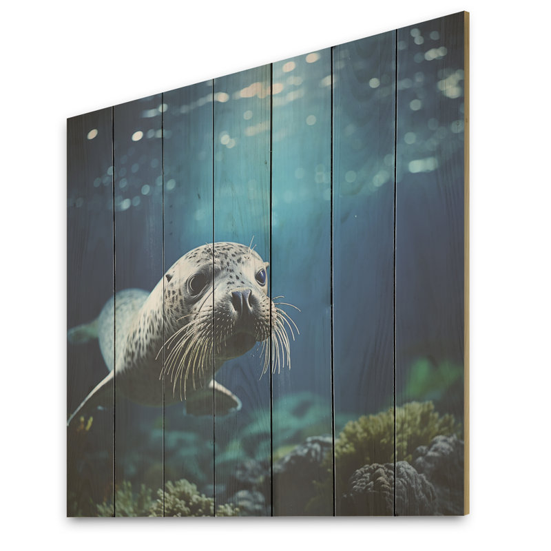Marine Whispers Sea Lions At Play II - Seal/Sea Lion On Wood Print, 30" H x 30" W