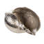 Rough Nickel Shell 22x16x12 Cm-736588883