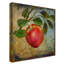 «From the Grove Apple» par Art Licensing Studio, reproduction d'art graphique sur toile tendue-31873355