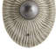 Yesenia Sconce