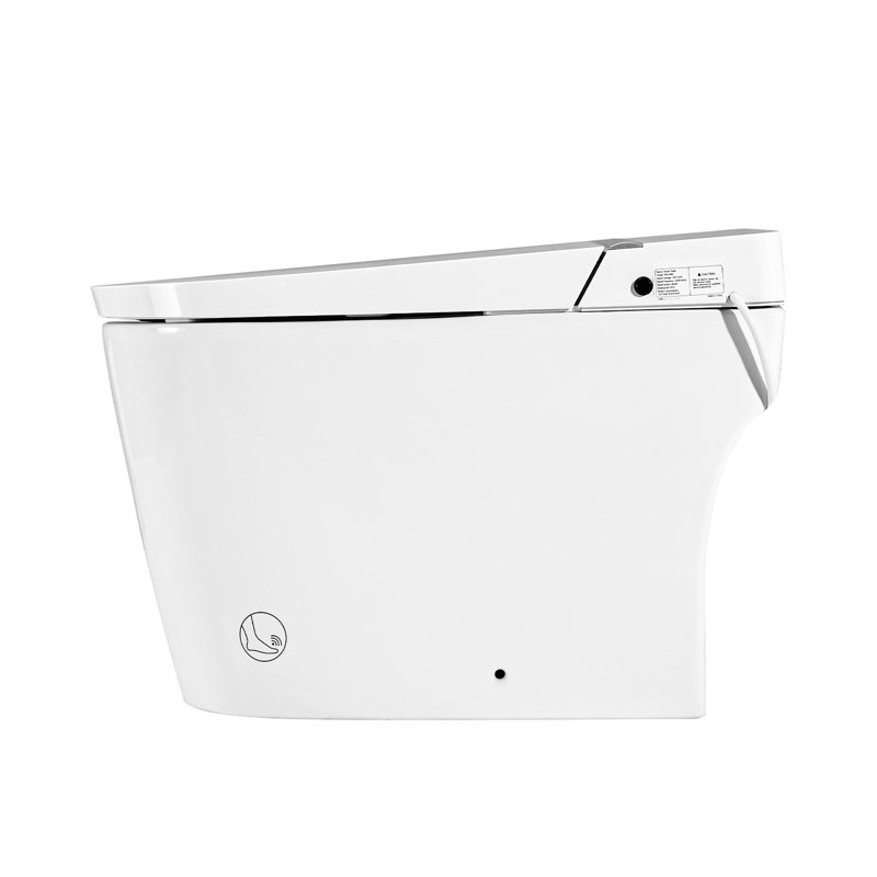 Toilette intelligente avec nuit, buse autonettoyante, siège chauffant, capteur de pied, télécommande, bidet à affichage DEL,