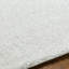 Beyanka Machine Tufted Area Rug-1557494328